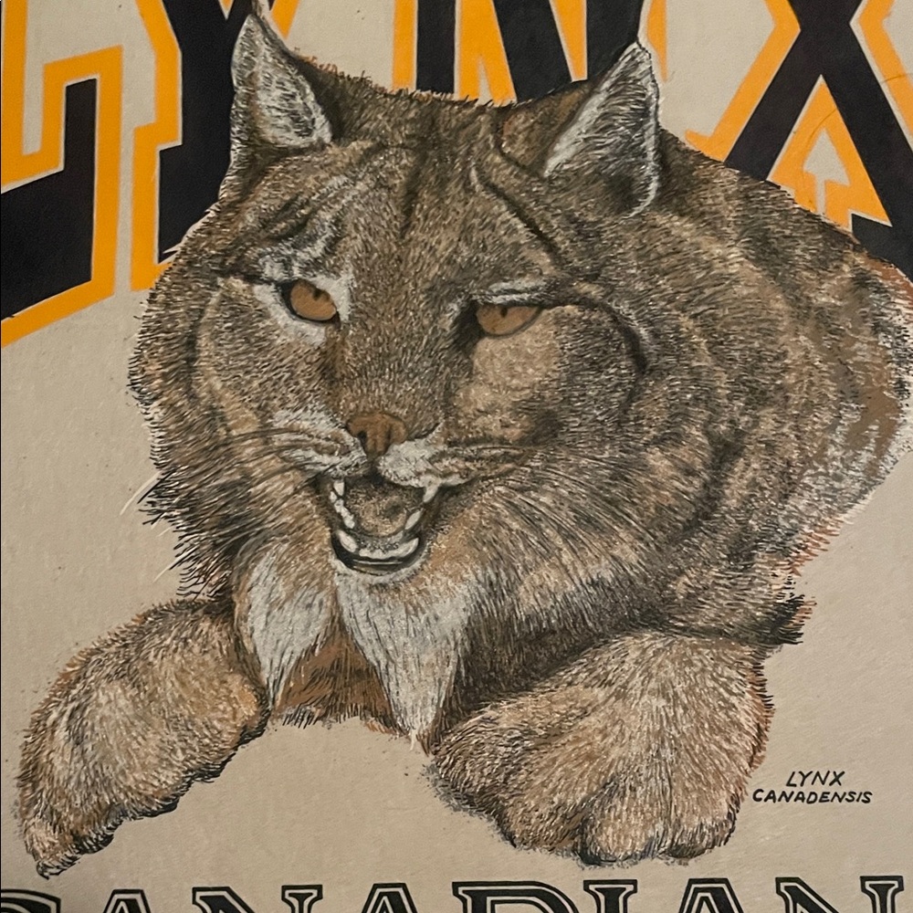 Vintage Lynx Wild Cat Canadian Nature Fine Art Print Textured Felt Paper 18x14